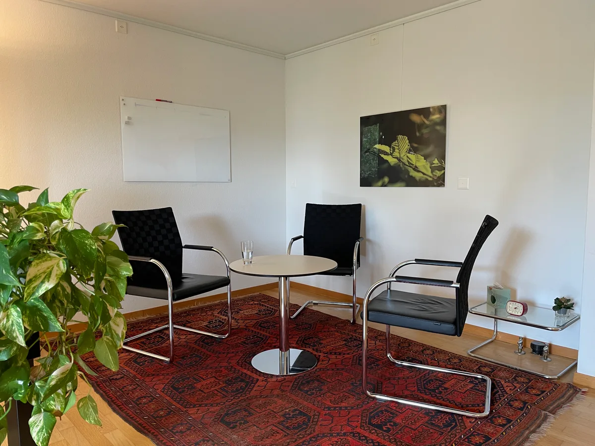 Man sieht das Sitzungszimmer der fsbh in Wetzikon.